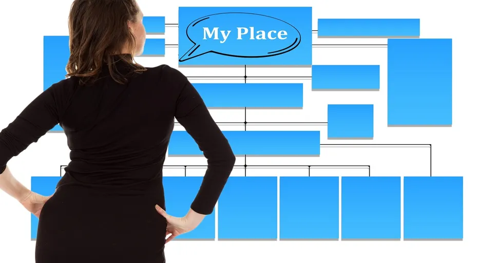 treat me like an option - businesswoman, organization chart, organization