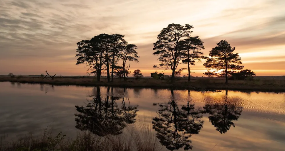 when your ex gets married and you're still single - river, sunset, water