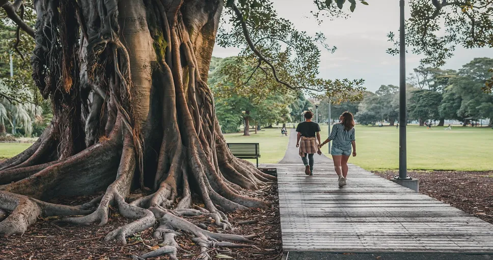 signs you are begging for love - tree, park, nature